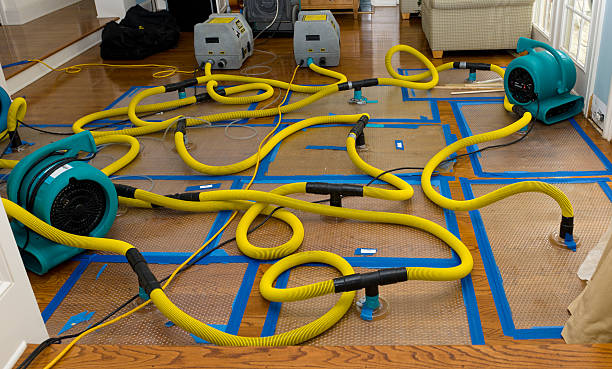 Professional Water Damage Repair technician working in Double Springs, AL